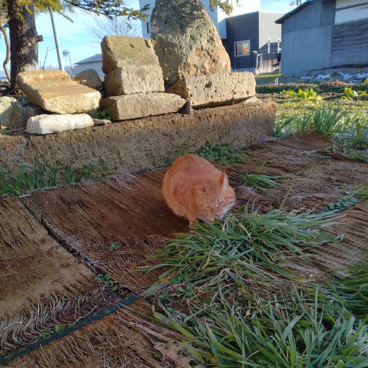 4f99fb80 b595 4e9b 9f6b 7163c40e0f23 1704957452599