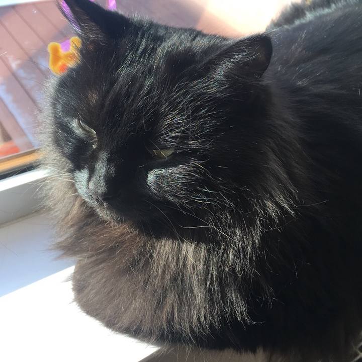 4f9a143a 4d54 4032 b38a 24cc47170054 1545613499673