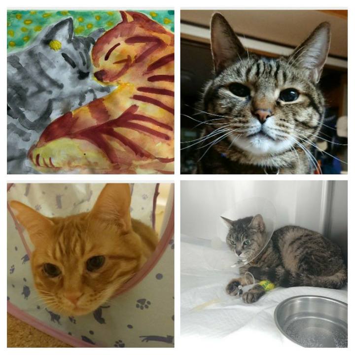 4f9a7689 1b43 409b 9967 379b8f9483e6 1585655865152