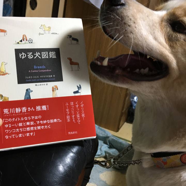 4f9aa483 4544 48cc 8ab6 1659df77425a 1507803795679