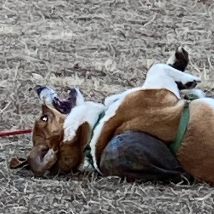 4f9ae548 27cd 457f 912b e1b937d242db 1736914604169