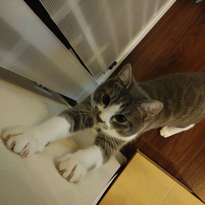 4f9aebcf 5b0f 438d 9b36 6051310cd169 1576885380759