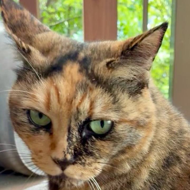 4f9af93e 29e8 498c 9d46 3f184e800894 1757987076073