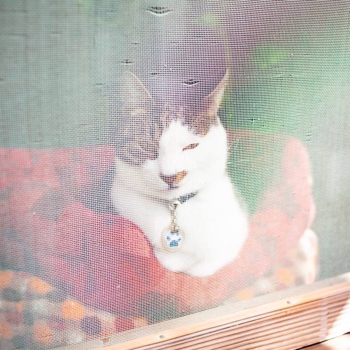 4f9b0285 c840 42e6 9c74 6f5d035e4fd3 1604375964805