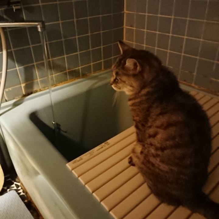 4f9b0793 c1ad 423e a22b 1d01ac6efd49 1571649927594