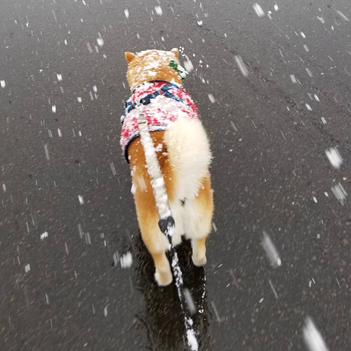 4f9b1b54 1d24 403c 9833 66a5fef94f5e 1554188774753