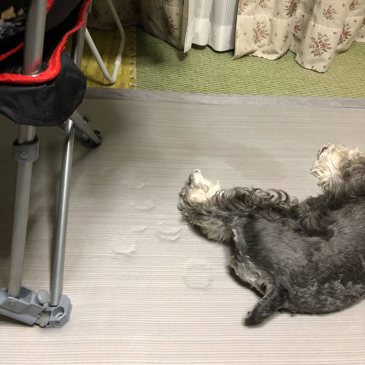 4f9b26c5 3bd6 48a9 a271 ea1d743017d7 1564065609922