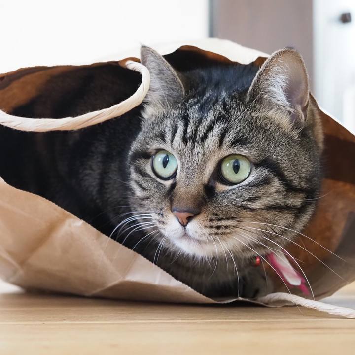 4f9b2f20 22bd 446b b892 a7a556ec9fa4 1647660395157