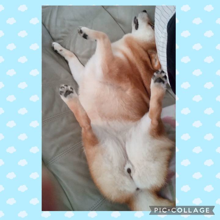 4f9b613b 38e9 471e 989a 022df3a8362c 1752301360817