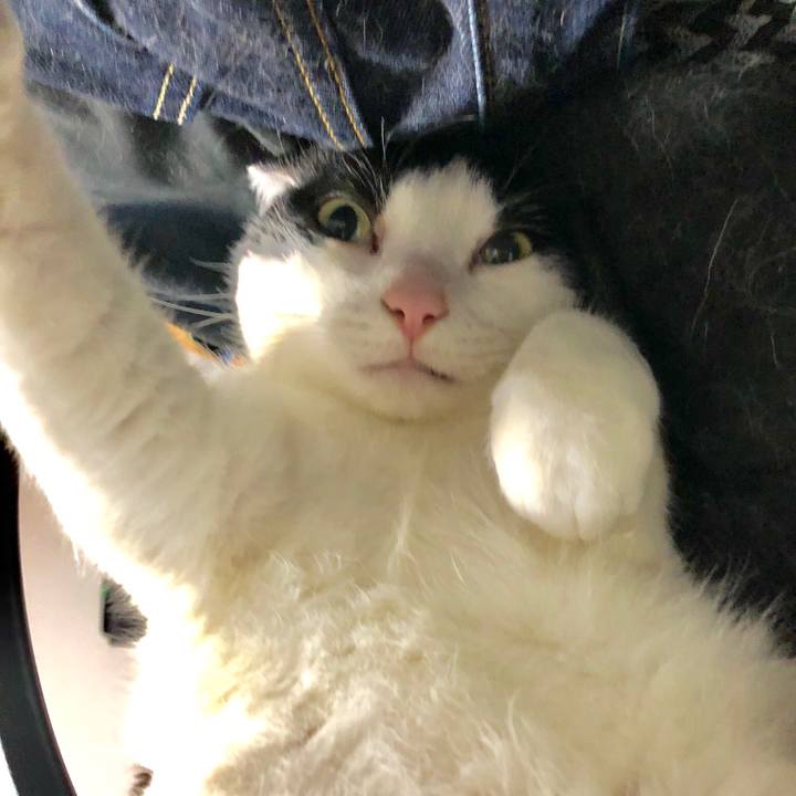 4f9ba498 8298 4b43 a408 5960774af1c4 1557931196790