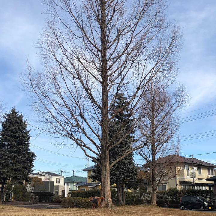 4f9bb06f 374a 41c1 9a1c 4f189bf1a38b 1580090768702