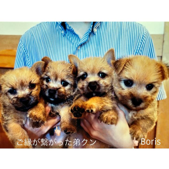 4f9be479 0ae5 43d3 8c72 63a44ed23864 1728799623920