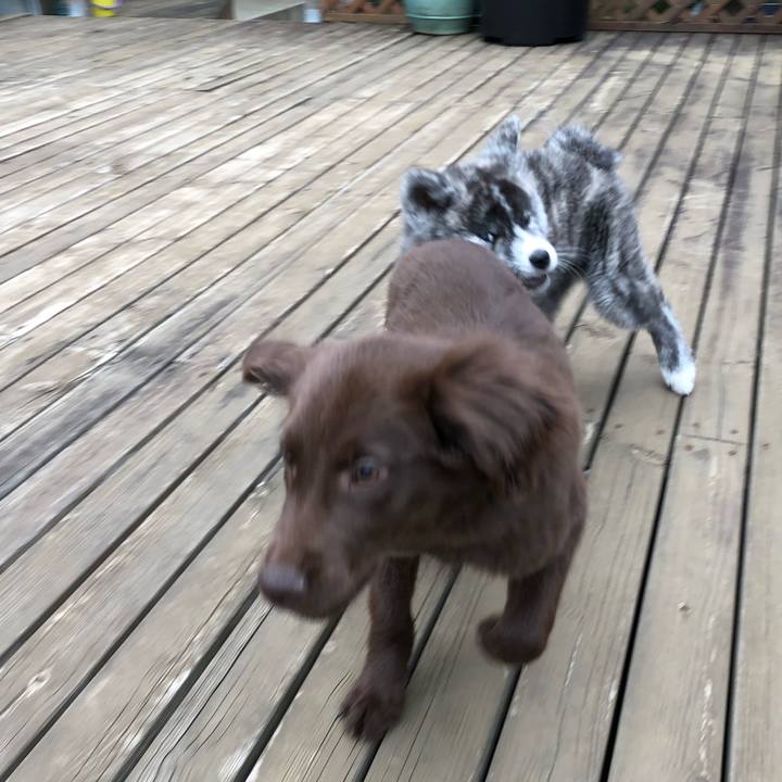 4f9c13df ab11 4b8a 9da7 543824de7cf6 1553292303283