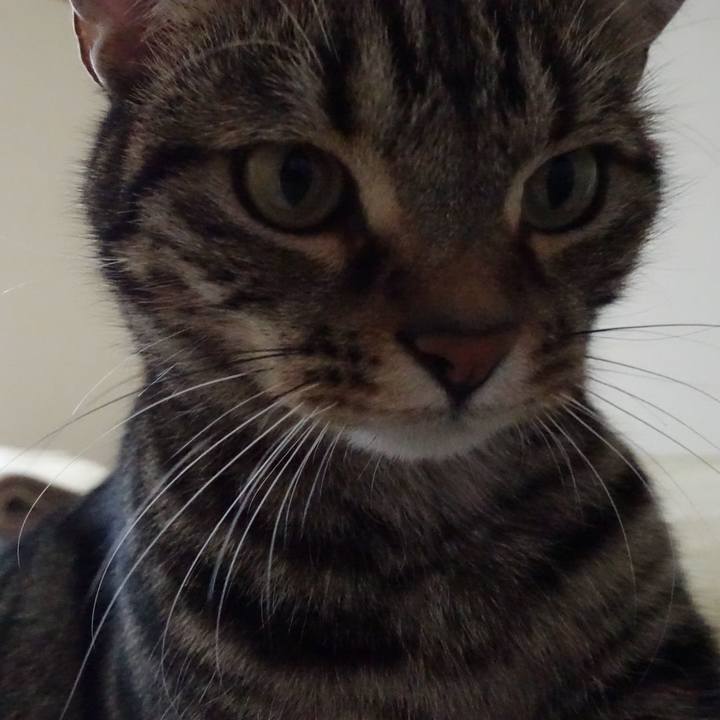 4f9c1540 b70a 409d a391 fcabc4838471 1561762413926