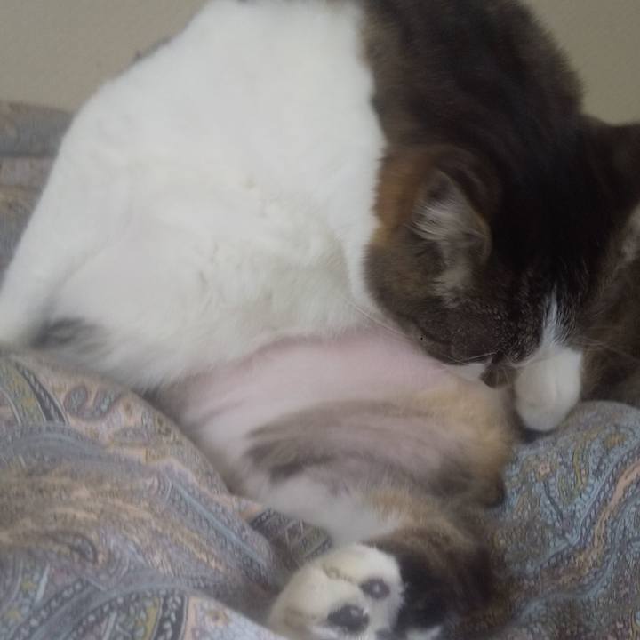 4f9c2255 c5ba 4008 8c1c f9d7e4ac3632 1745119453114