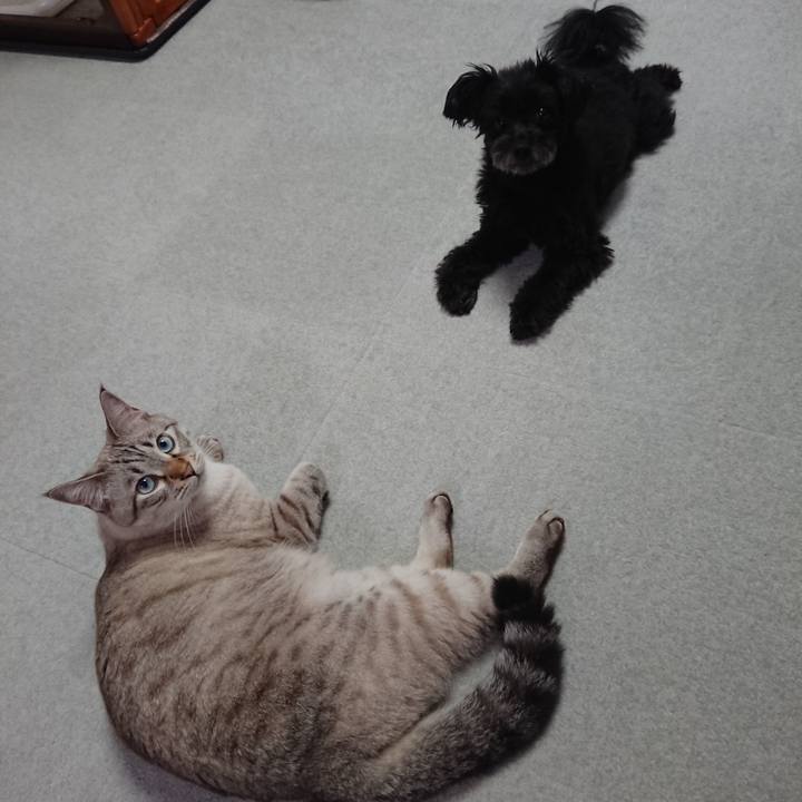 4f9c36f3 8011 4e39 9e46 da6c95cd7356 1536669207762