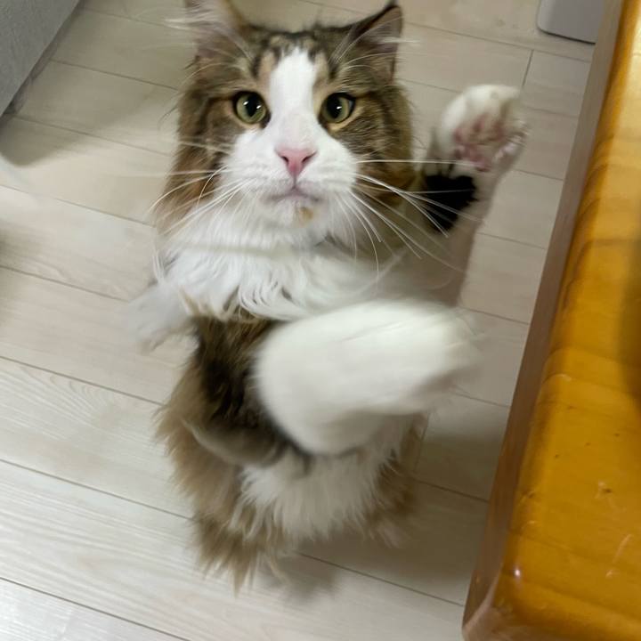 4f9c532f 735c 4f23 be32 56143d98bf10 1681416770929