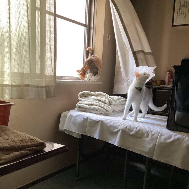 4f9c6197 7d0f 48be 9b40 6dd149617e78 1653874139022