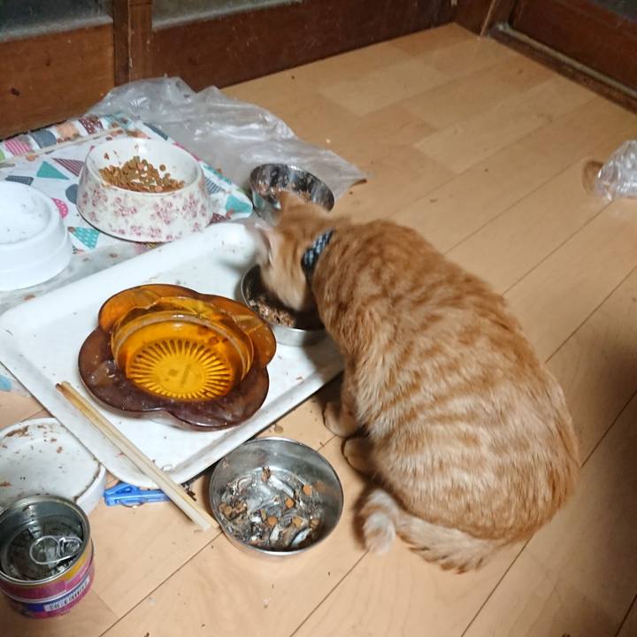 4f9c640a 6f9c 41cf 866b fdf7abd01872 1636662553031