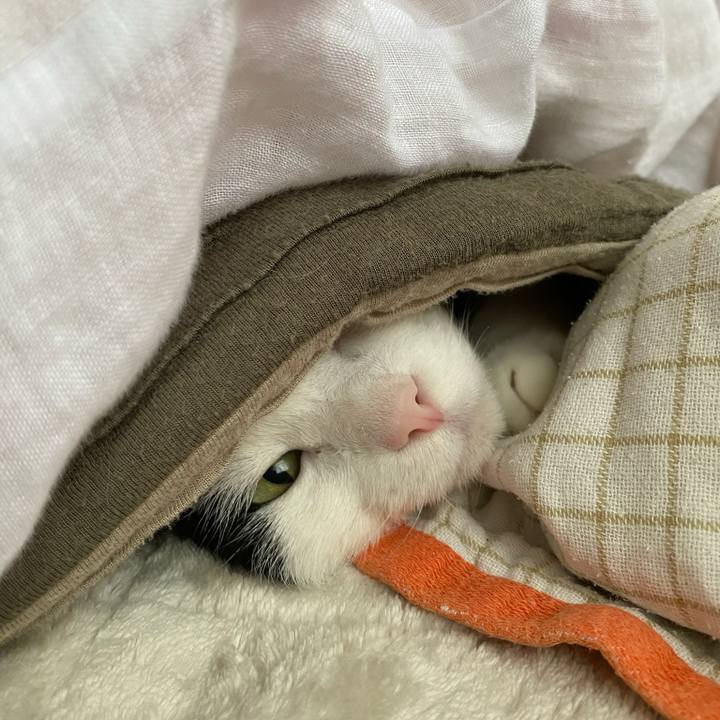 4f9c8708 869e 4f2b aeac f3b73cec1558 1766275705073