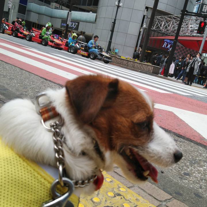 4f9c9228 7c50 4535 88db 499ec67c1886 1524308146932