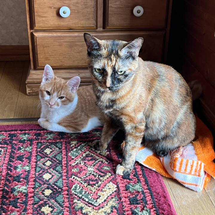 4f9cbca9 9a55 44ba 9eb5 cab18604818d 1666480417720