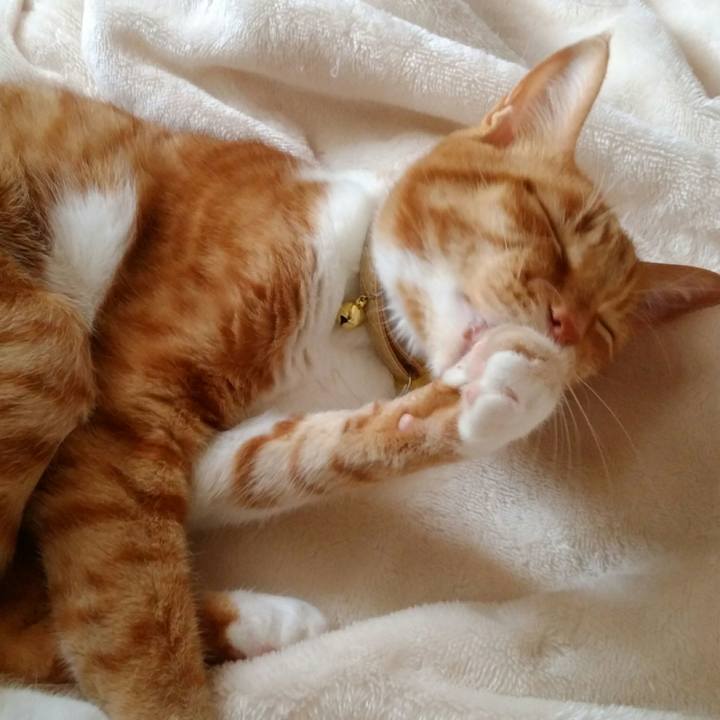 4f9cc2e4 b997 4a59 a15f 9b080ec637de 1559597875645