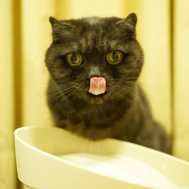 4f9ce056 052e 4599 99d2 1e279f3197be 1613136451124