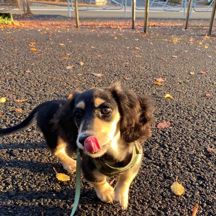 4f9ce131 9fa2 49f3 b953 ad8b498c900d 1669078337914