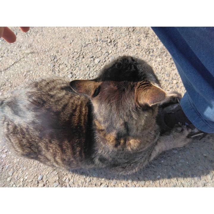 4f9ce31b bedc 430e 8a65 938821a14a58 1712017738265