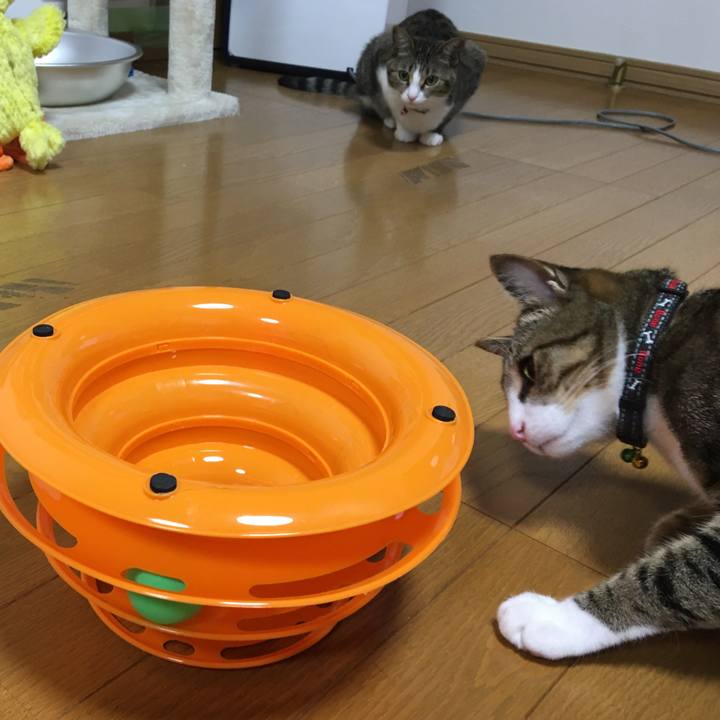 4f9d05ab dd76 4517 b482 f4c3c2cd7d38 1681651066497