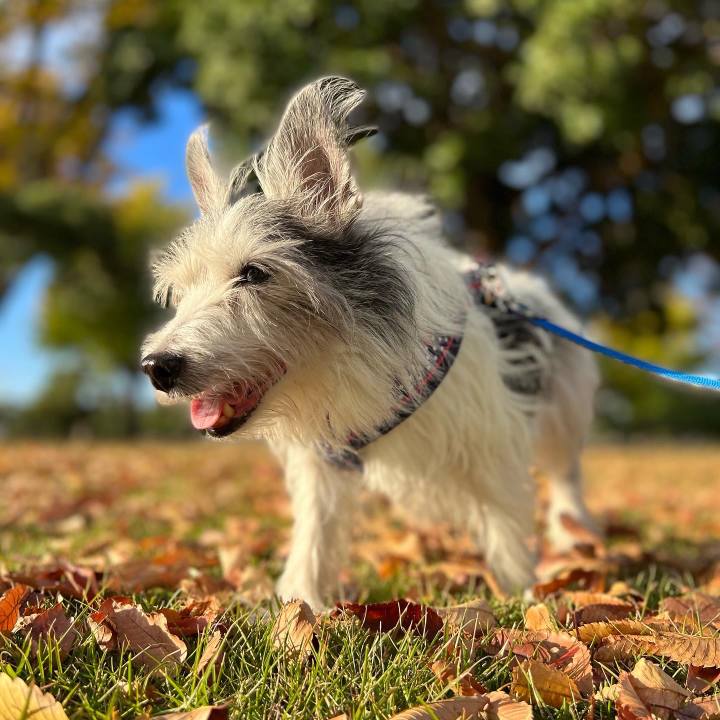 4f9d647e 8aea 4b0f 8cf8 fca130e69043 1667486658845