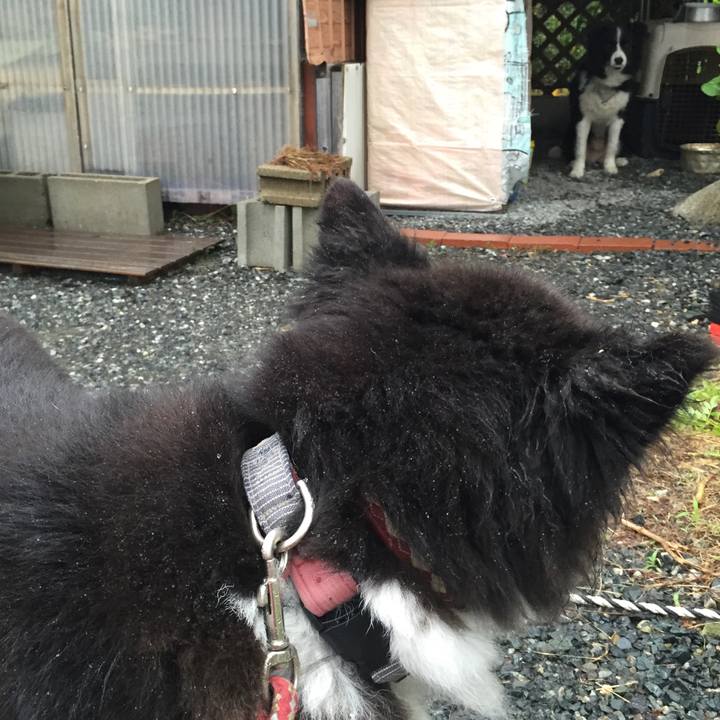 4f9d7108 b5bf 4967 8cc8 1ba353437c38 1536393622717