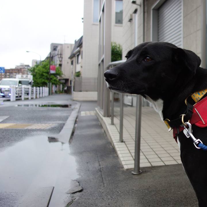 4f9d8ddc a211 4d5a 850b f2b989ae88ef 1589934718726