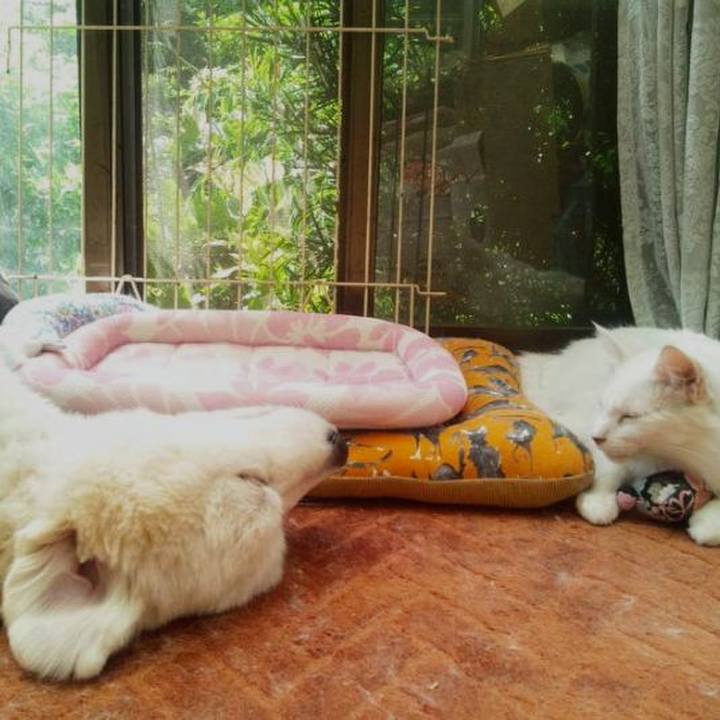 4f9da3a7 6c5a 49bd 8883 e63faea715ba 1684495228553