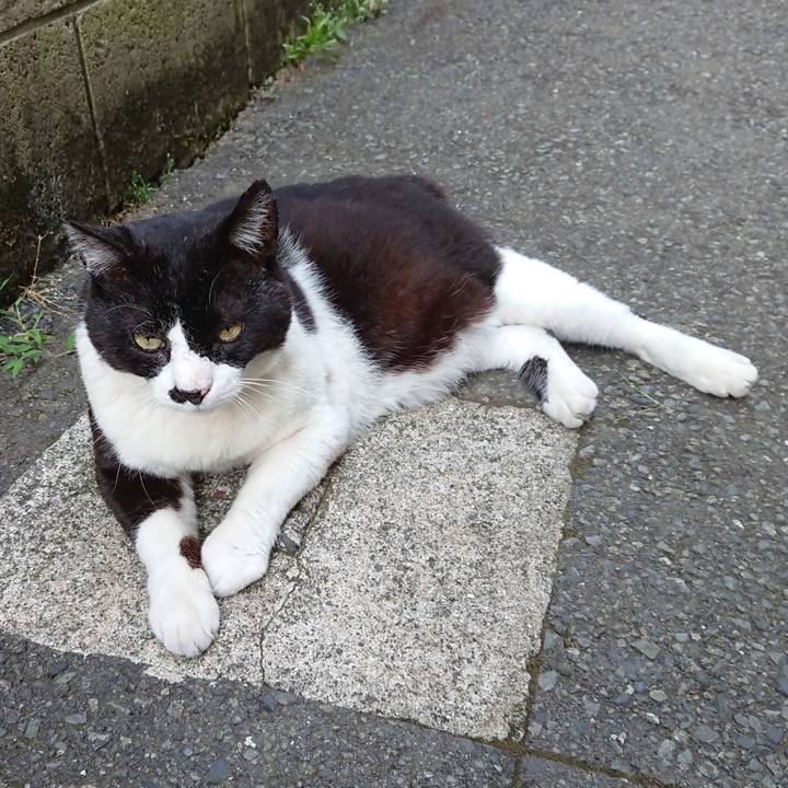 4f9db5a7 74d6 4f24 a7a9 5edf66be0ab3 1591346556888