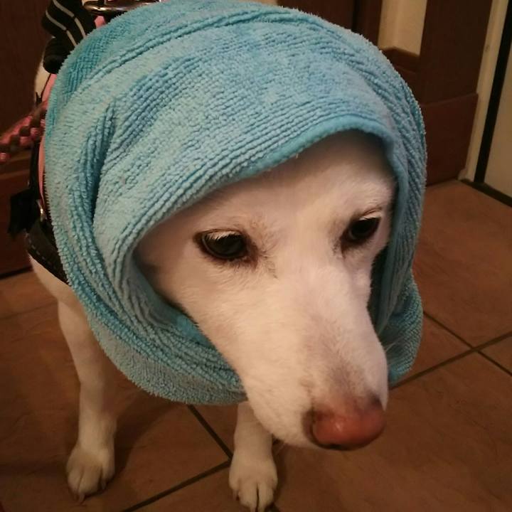 4f9dd8c5 1b5a 4ec4 b277 cc7978afca5f 1528797055669