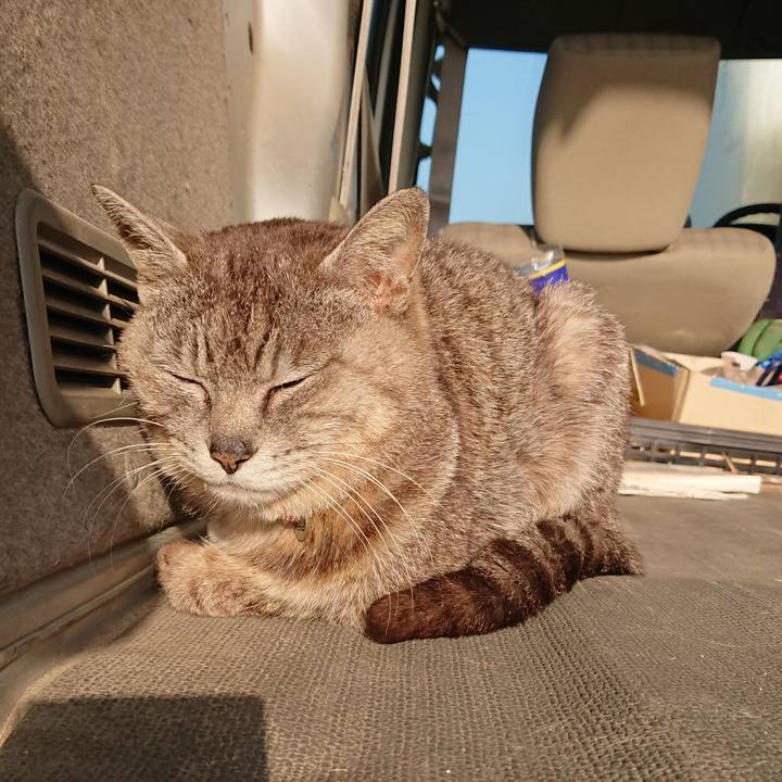 4f9de0cf 4fab 455d 88be 2885b06a5f30 1591218453209