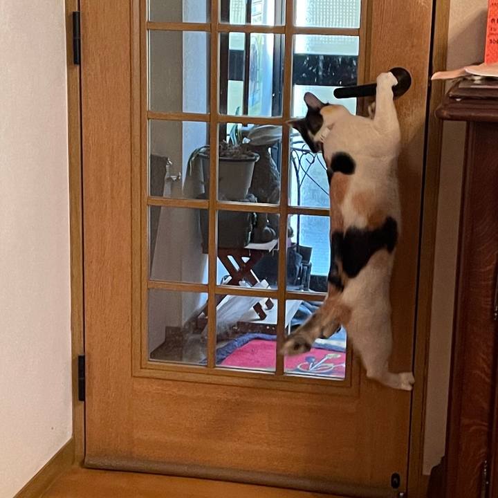 4f9deff1 de40 4edd 87bf e08c3b2b70a9 1678313767635