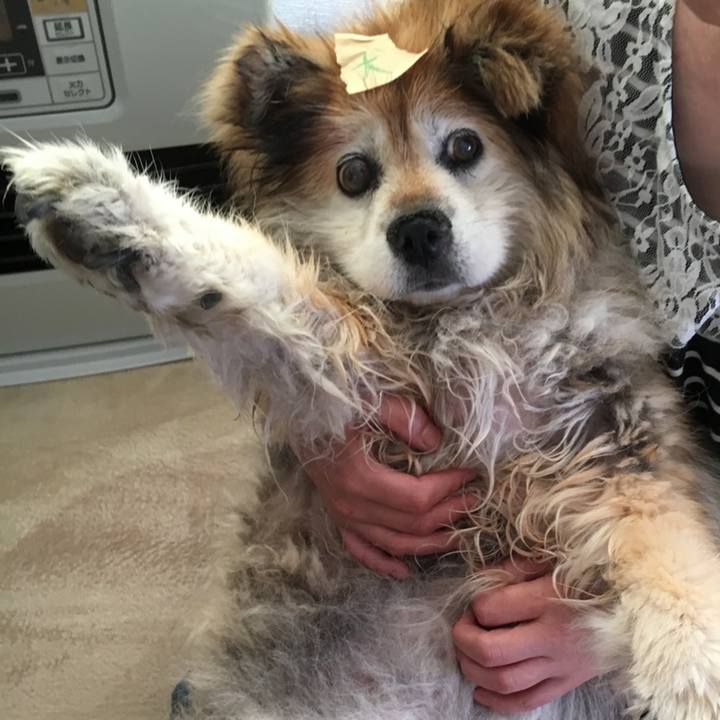 4f9df480 a778 4f58 a752 47bc032b97a1 1572458023890