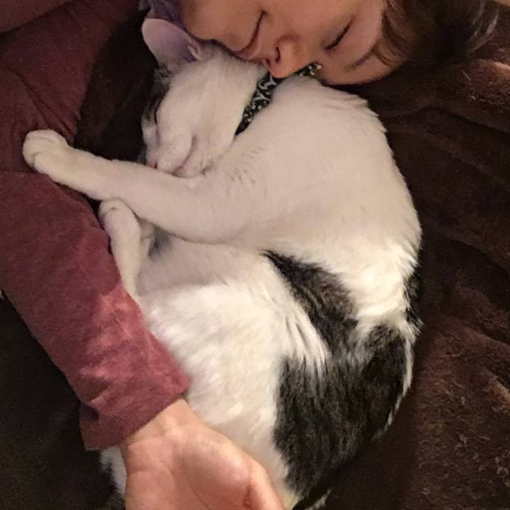 4f9e4573 be93 4728 9479 51b9af97418e 1526008248747