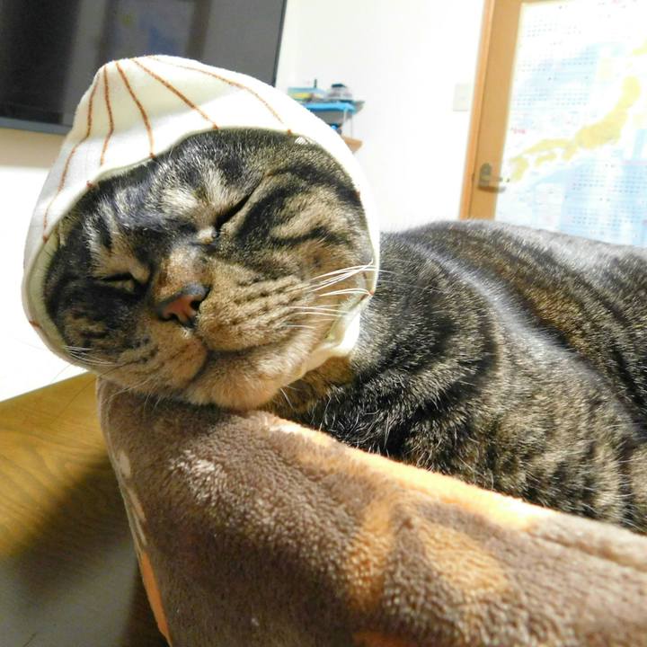 4f9e7e9e 4380 43b5 ac87 6f74049c7c03 1518797495259