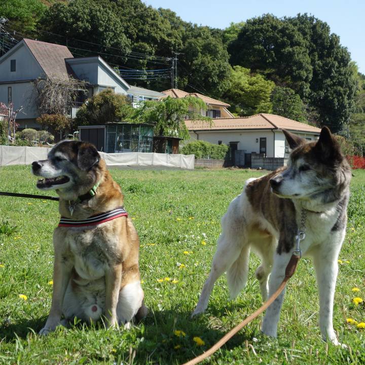 4f9ea396 4245 4c7e 9f66 5817f0556d76 1633652499313