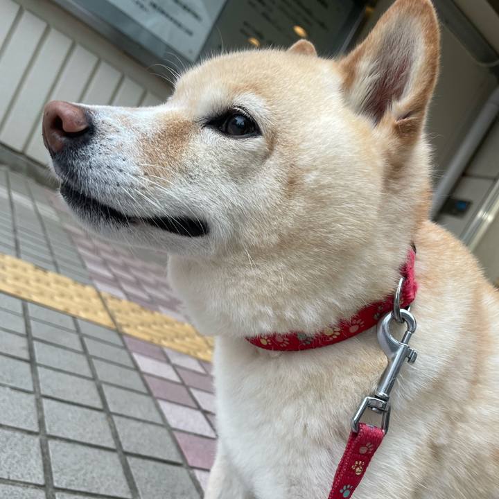 4f9ec069 3e20 4647 a314 8c9adc4d7314 1748173142466