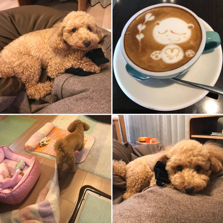 4f9ecaf5 53bf 49bc 899f e32b1e5d22f6 1511269989108