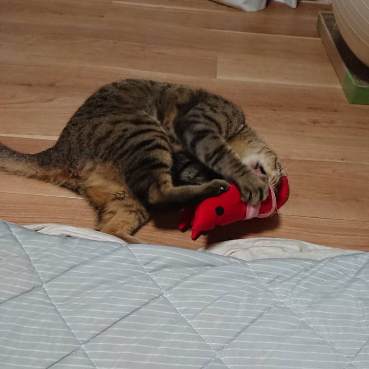 4f9ecc4f 9d02 4483 91b4 a46375848f21 1562080408330