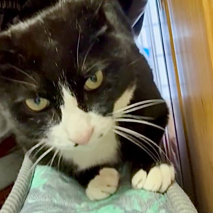 4f9ef4be b6fa 41c4 882f b95745432268 1744776698390