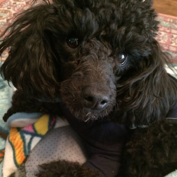 4f9f07e1 8b56 4a9a 9955 32f4a0cb2b4c 1548118366509