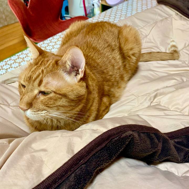 4f9f192e ad5b 42ad ad43 2126fec77d36 1611539797240