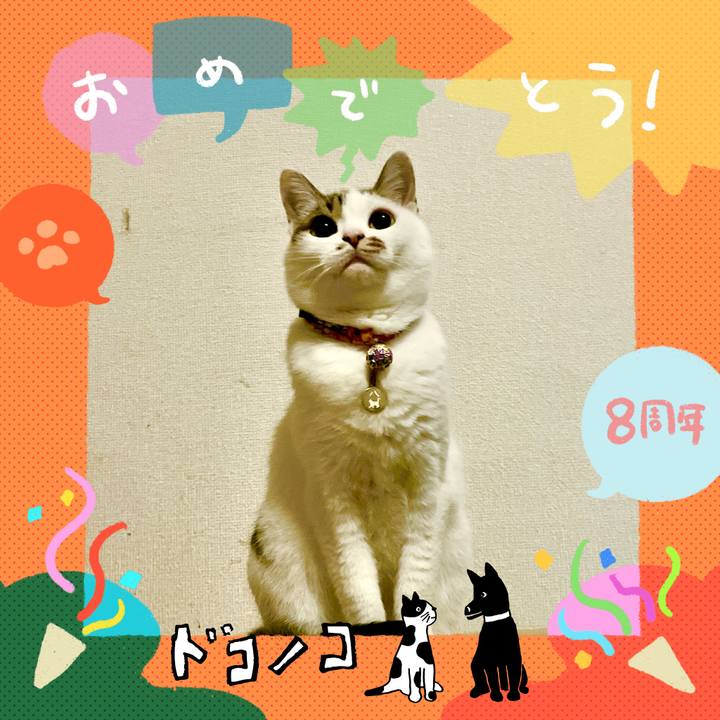 4f9fa4bf 2c93 4e27 adc5 70e2b4b2cad1 1718101850396